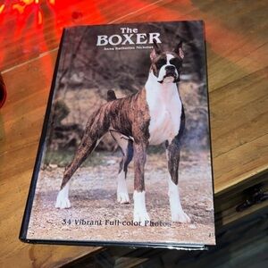 The Boxer by Anna Katherine Nicholas
